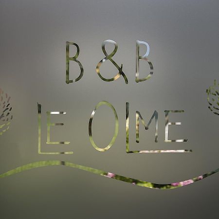 B&B Le Olme 몰리아노베네토 외부 사진